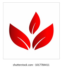 leaf vector logo design template