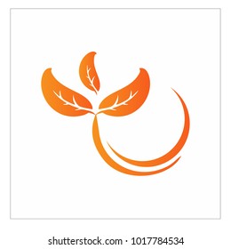leaf vector logo design template