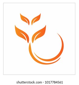 leaf vector logo design template