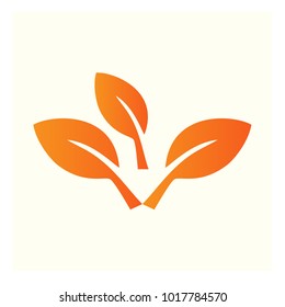 leaf vector logo design template