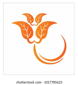 leaf vector logo design template