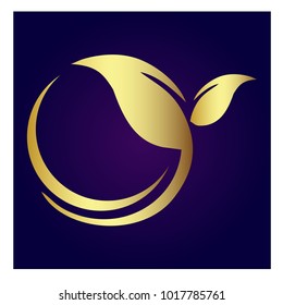 leaf vector logo design template