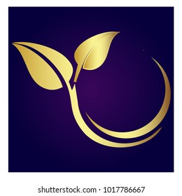 leaf vector logo design template