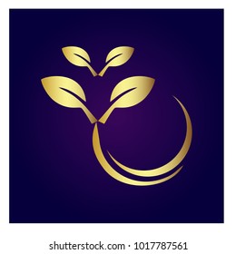 leaf vector logo design template