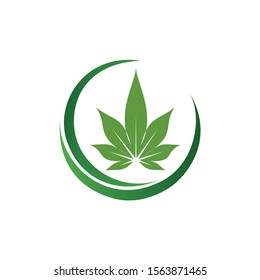 leaf vector logo. green circle ring design
