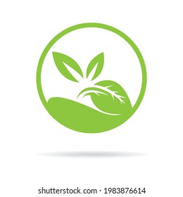 leaf vector logo template icon design