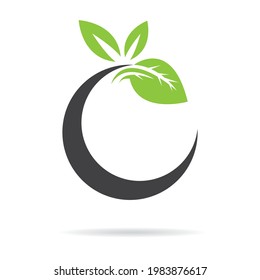 leaf vector logo template icon design