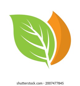 Leaf vector logo template icon design