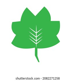 ilustración o logotipo de vector hoja minimalista