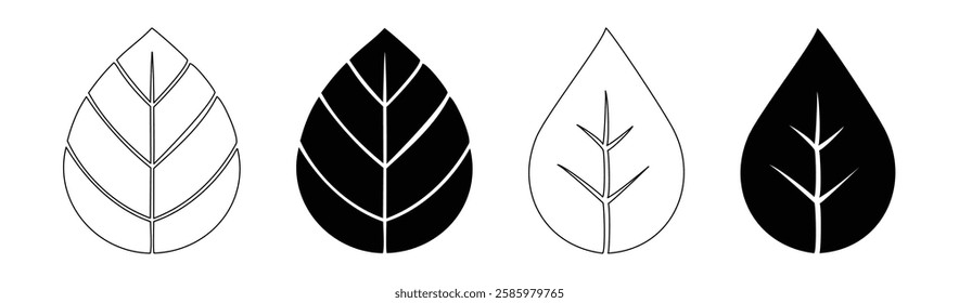 Leaf vector. Minimalist leaf line art Oak, Maple, Palm and more in delicate black and white designs. Fully scalable and customizable for print and digital.