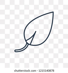 Leaf vector outline icon isolated on transparent background, high quality linear Leaf transparency concept can be used web and mobile