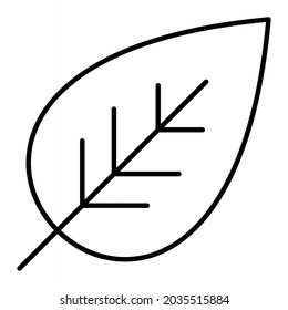 Icono De Contorno De Vector De Hoja Aislado En Fondo Blanco
