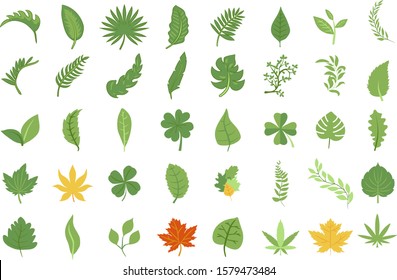 leaf vector set collection graphic design