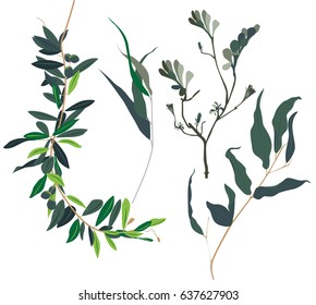 Leaf vector set. set leaf vector. collection of leaves,Line borders,collection of leaves,Chalkboard Style Hand Drawn Laurels,Plants icons,Icons of leaves,Vector leaves icon set on white background.