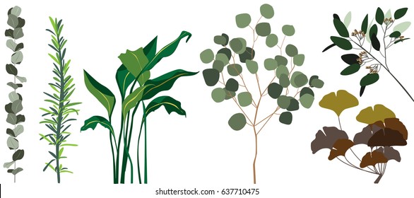 Leaf vector set. set leaf vector. collection of leaves,Line borders,collection of leaves,Chalkboard Style Hand Drawn Laurels,Plants icons,Icons of leaves,Vector leaves icon set on white background.