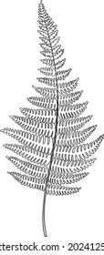Leaf vector sketch outline illustration. Forest greenery background