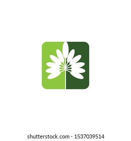 leaf vector template icon design