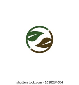 leaf vector template icon design