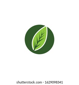 leaf vector template icon design