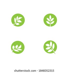 leaf vector template icon design