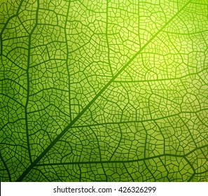 Leaf vector texture pattern. EPS10.