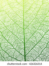 Leaf vector texture pattern. EPS10.