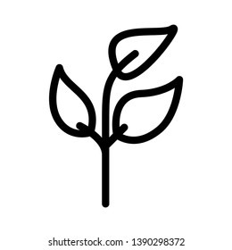 leaf vector thin line icon