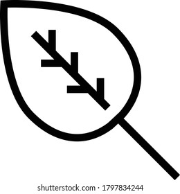 leaf vector thin line icon 