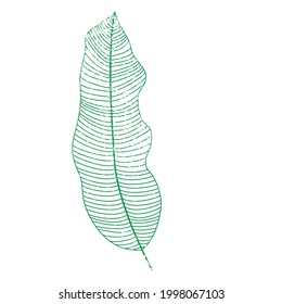 Leaf-Vektorgrafik. Tropische Blätter. grünes Logo mit Linien