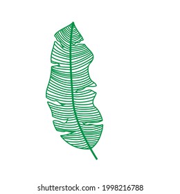 Vector de hojas. Hojas tropicales. logotipo verde con líneas