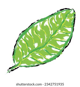 Leaf vector, wax crayons like children's hand drawn leaves isolated. Pastel chalk or pencil like leaves drawn by children's hands on paper. Brush painting style, coloring style with crayon