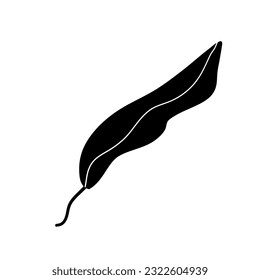 Leaf vectors draw by hands