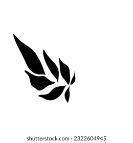 Leaf vectors draw by hands