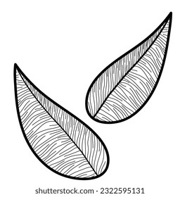 Vectores de hoja alineados a mano