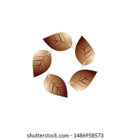 leaf veector template icon design