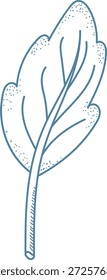 Hoja con detalle de veta y textura punteada dibujada en líneas limpias, símbolo de la naturaleza, el eco, el crecimiento, la frescura y la pureza orgánica para temas de bienestar y sostenibilidad. Ilustración vectorial de dibujos animados.