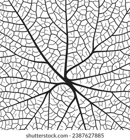 Leaf vein texture abstract background with close up plant leaf cells ornament texture pattern. Black and white organic macro linear pattern of nature leaf foliage vector illustration.