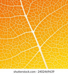 Leaf vein texture abstract background with close up plant leaf cells ornament texture pattern. Orange organic macro linear pattern of nature leaf foliage vector illustration.