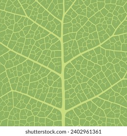 Leaf vein texture abstract background with close up plant leaf cells ornament texture pattern. Green organic macro linear pattern of nature leaf foliage vector illustration.