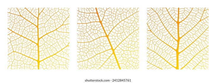 Leaf vein texture abstract background with close up plant leaf cells ornament texture pattern. Orange and white organic macro linear pattern of nature leaf foliage vector illustration.