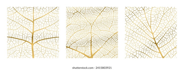 Leaf vein texture abstract background with close up plant leaf cells ornament texture pattern set. Golden organic macro linear pattern of nature leaf foliage vector illustration.