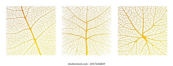 Leaf vein texture abstract background with close up plant leaf cells ornament texture pattern. Orange and white organic macro linear pattern of nature leaf foliage vector illustration.