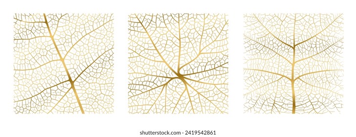 Leaf vein texture abstract background with close up plant leaf cells ornament texture pattern set. Golden organic macro linear pattern of nature leaf foliage vector illustration.