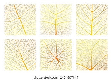 Leaf vein texture abstract background with close up plant leaf cells ornament texture pattern. Orange and white organic macro linear pattern of nature leaf foliage vector illustration.
