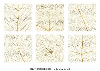 Leaf vein texture abstract background with close up plant leaf cells ornament texture pattern set. Golden organic macro linear pattern of nature leaf foliage vector illustration.