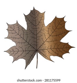 Leaf with veins