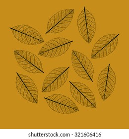 Leaf Veins Illustration