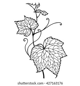 Leaf vine. Zen tangle doodle floral ornament. Hand drawn  illustration for adult coloring books in vector. Unique lacy.