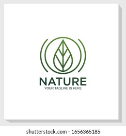 leaf vintage logo template design vector, nature elements logo design inspiration