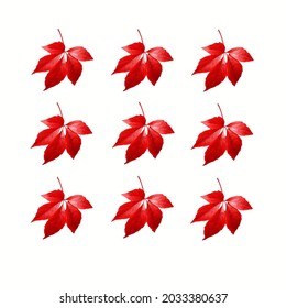 leaf wallpaper design for wall decoration or pasting